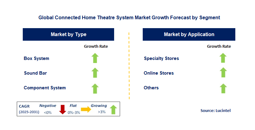 Connected Home Theatre System Market by Segment