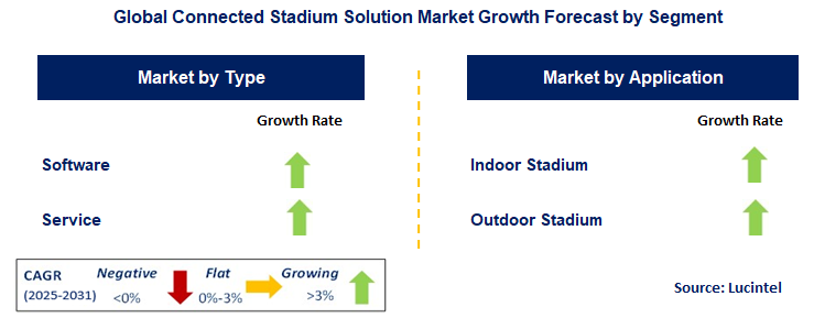 Connected Stadium Solution Market by Segment