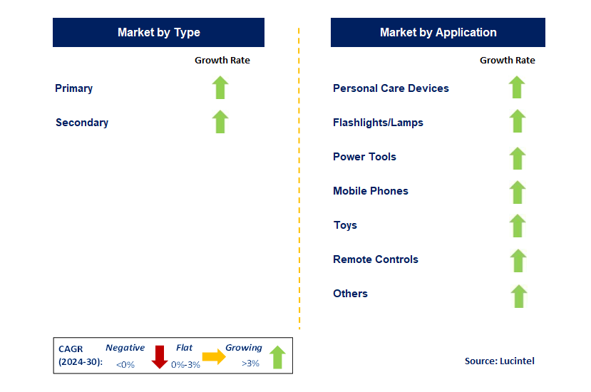 Consumer Battery by Segment