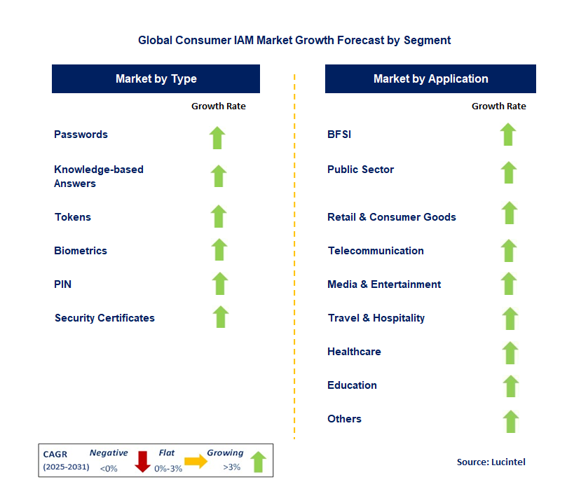 Consumer IAM Market by Segment