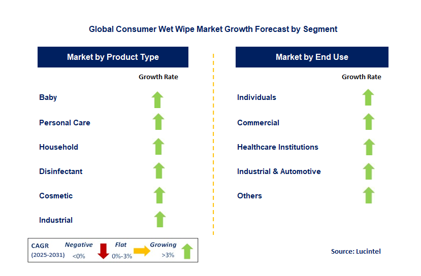 Consumer Wet Wipe Market by Segment