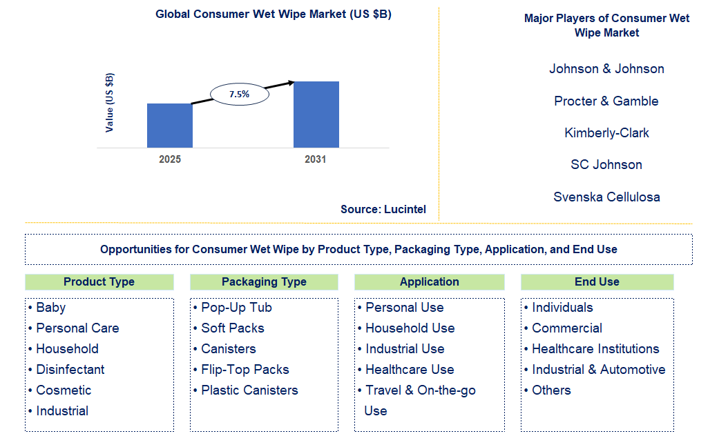 Consumer Wet Wipe Market Trends and Forecast