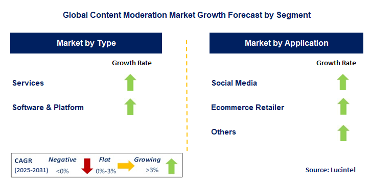 Content Moderation Market by Segment