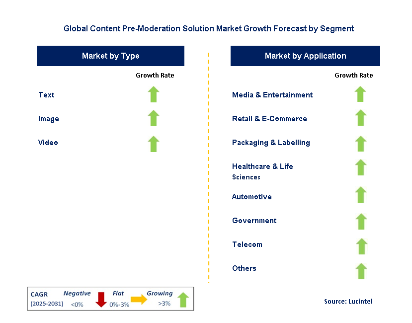 Content Pre-Moderation Solution Market by Segment