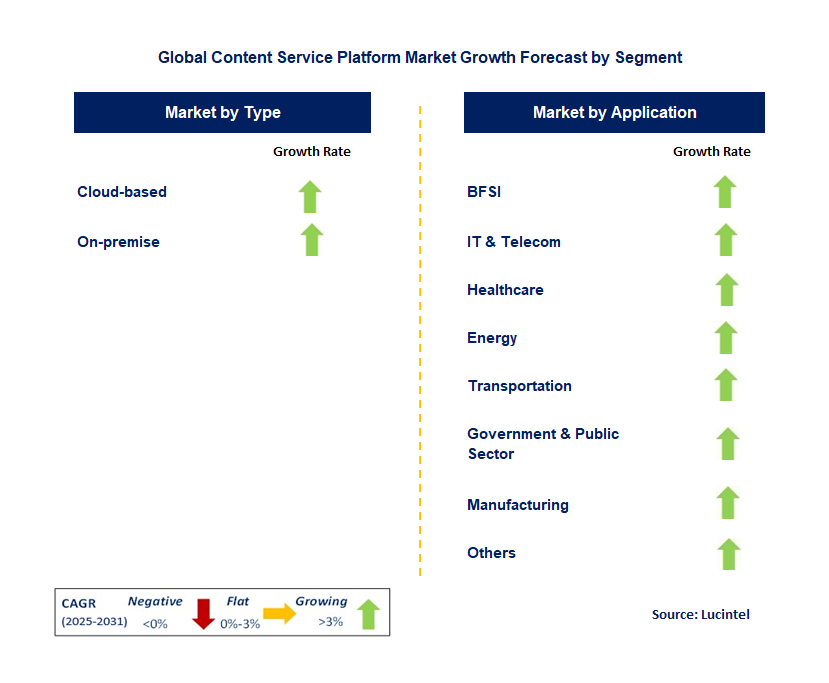 Content Service Platform Market by Segment