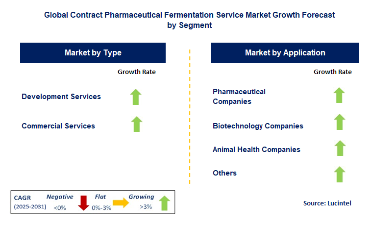 Contract Pharmaceutical Fermentation Service Market by Segment