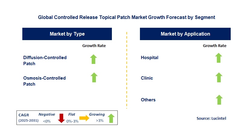 Controlled Release Topical Patch Market by Segment