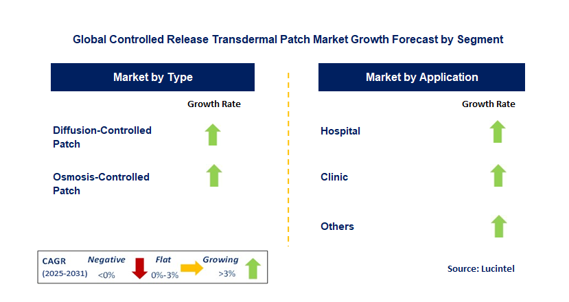 Controlled Release Transdermal Patch Market by Segment