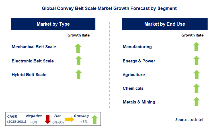 Convey Belt Scale Market by Segment