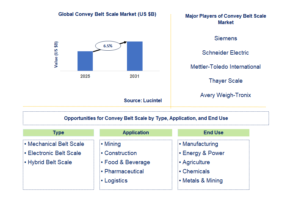 Convey Belt Scale Market Trends and Forecast