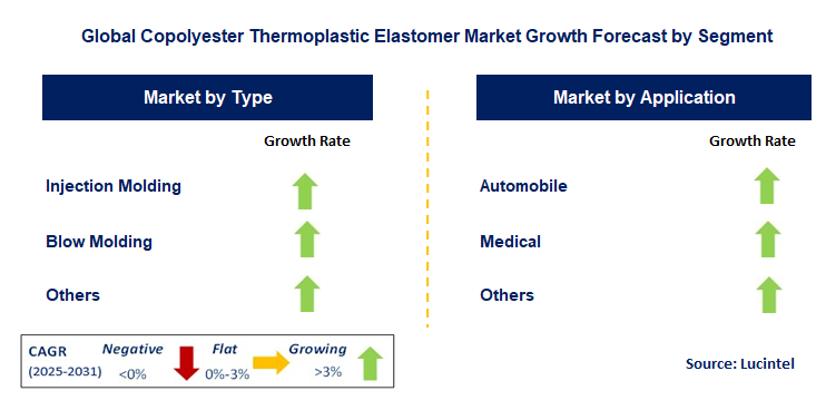 Copolyester Thermoplastic Elastomer Market by Segment