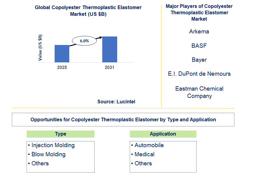 Copolyester Thermoplastic Elastomer Market Trends and Forecast