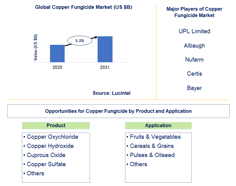 Copper Fungicide Market Trends and Forecast