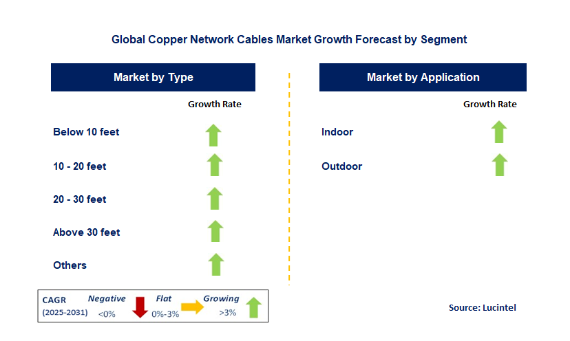 Copper Network Cables Market by Segment