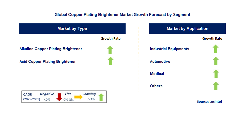 Copper Plating Brightener Market by Segment