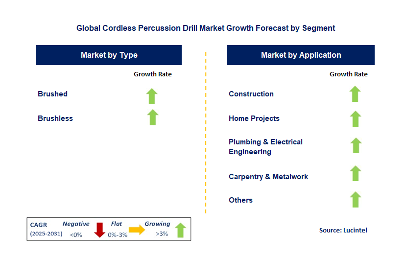 Cordless Percussion Drill Market by Segment