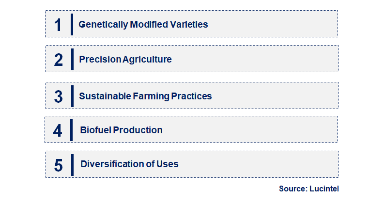 Emerging Trends in the Corn Market