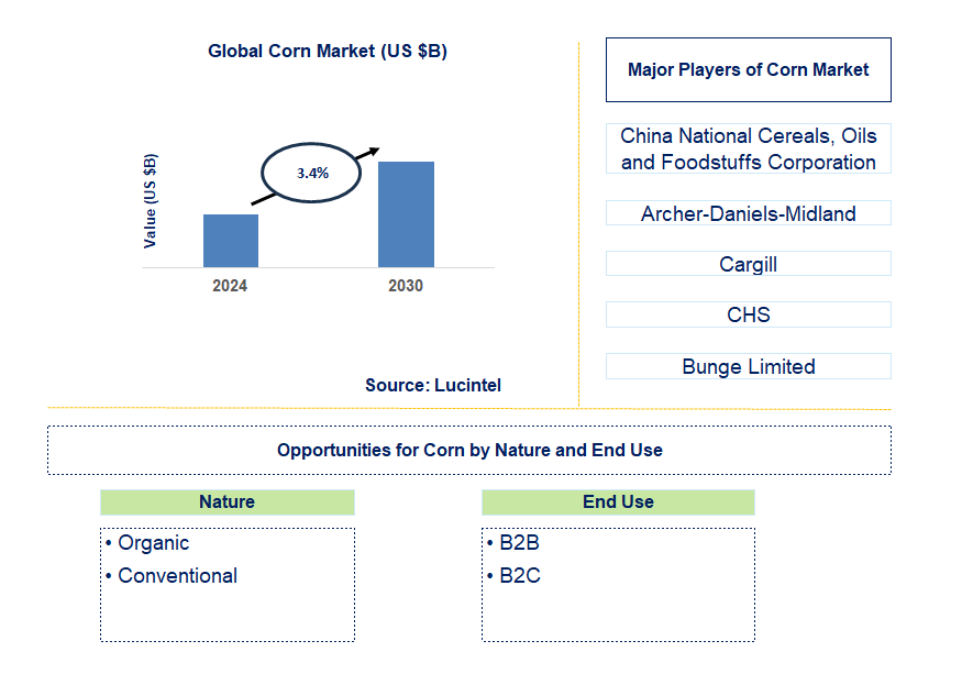 Corn Trends and Forecast