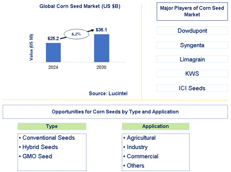 Corn Seed Market Trends and Forecast