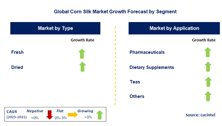 Corn Silk Market by Segment