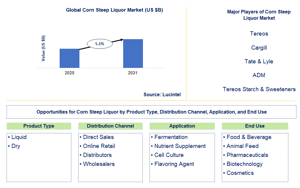Corn Steep Liquor Market Trends and Forecast