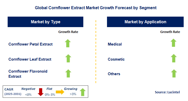 Cornflower Extract Market by Segment