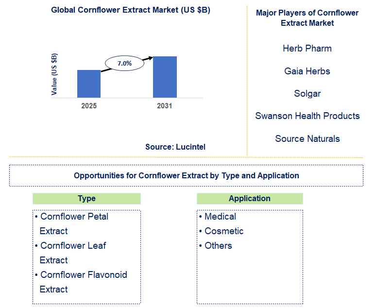 Cornflower Extract Market Trends and Forecast