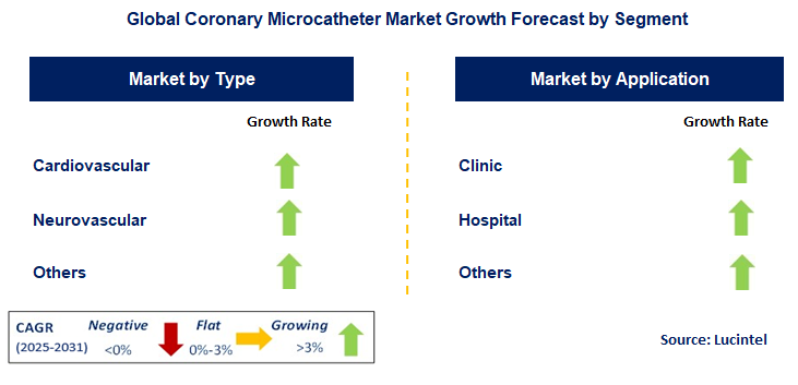 Coronary Microcatheter Market by Segment