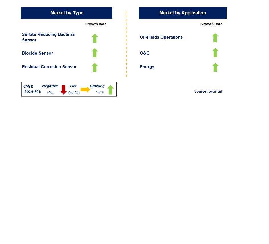 Corrosion Detector Sensor by Segment