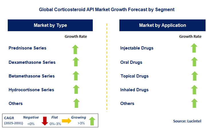 Corticosteroid API Market by Segment