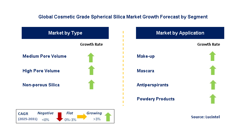 Cosmetic Grade Spherical Silica Market by Segment