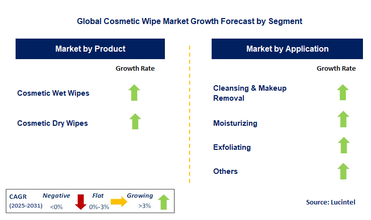 Cosmetic Wipe Market by Segment