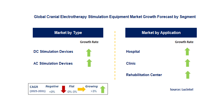 Cranial Electrotherapy Stimulation Equipment Market by Segment