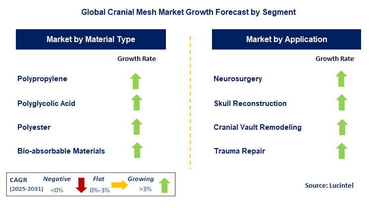 Cranial Mesh Market by Segment