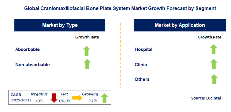 Craniomaxillofacial Bone Plate System Market by Segment