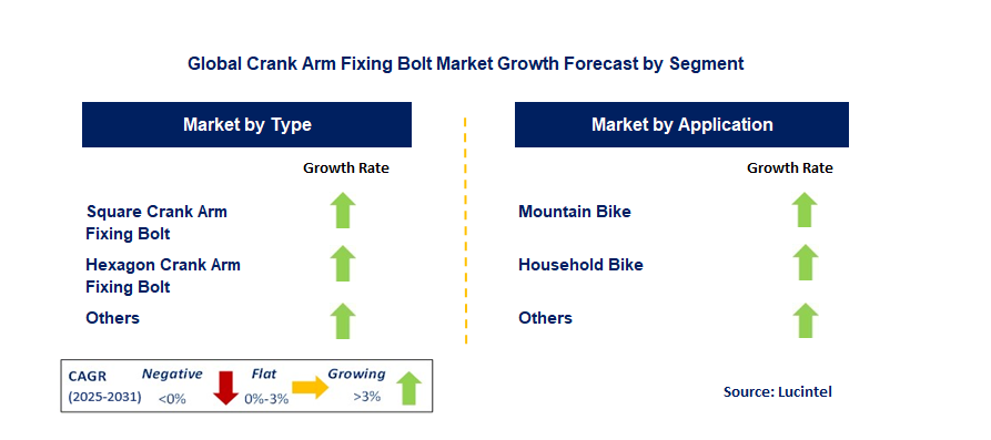 Crank Arm Fixing Bolt Market by Segment