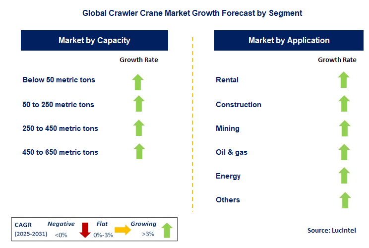 Crawler Crane Market by Segment