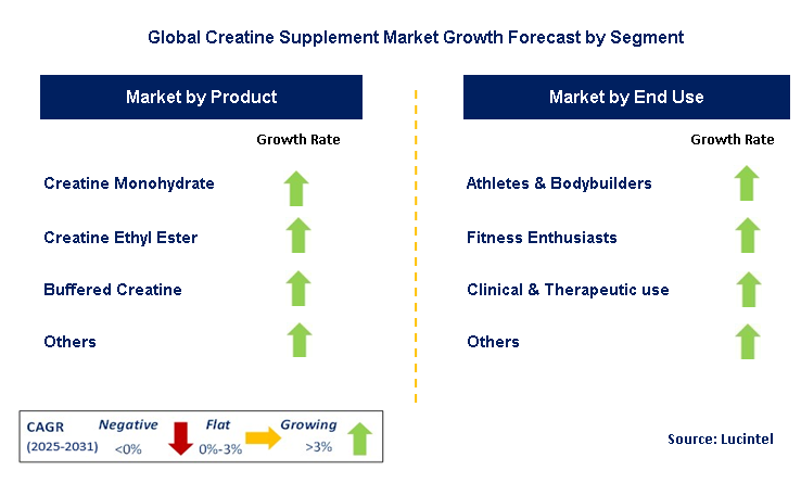 Creatine Supplement Market by Segment