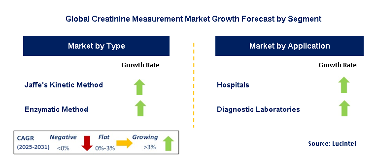 Creatinine Measurement Market by Segment