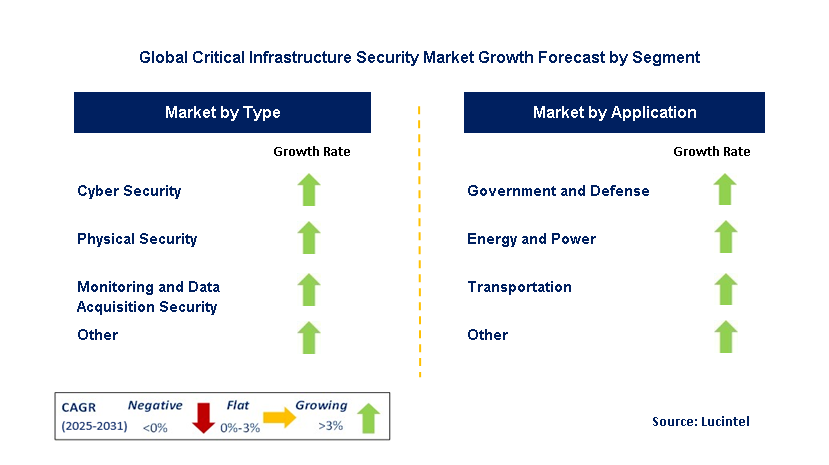 Critical Infrastructure Security Market by Segment