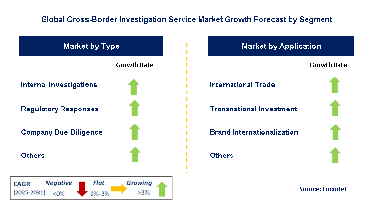 Cross-Border Investigation Service Market by Segment