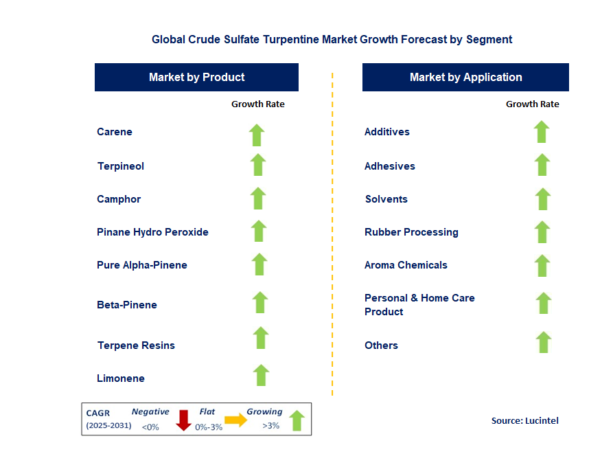 Crude Sulfate Turpentine Market by Segment