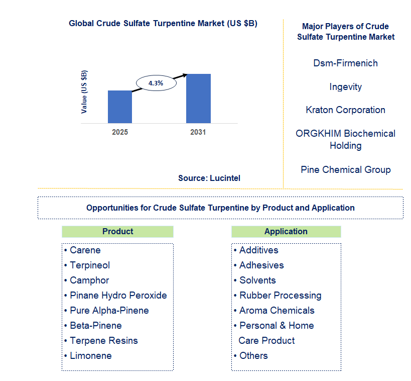 Crude Sulfate Turpentine Market Trends and Forecast