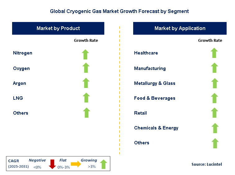 Cryogenic Gas Market by Segment