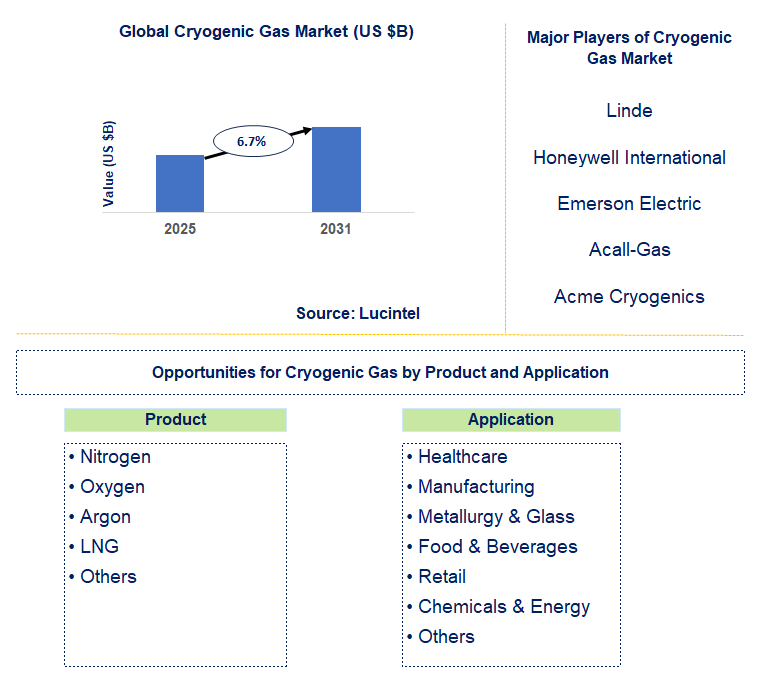 Cryogenic Gas Market Trends and Forecast