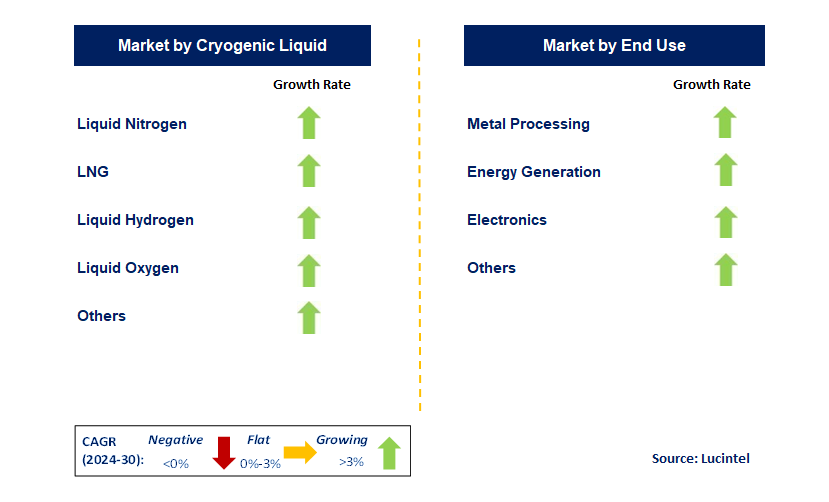 Cryogenic Tank by Segment