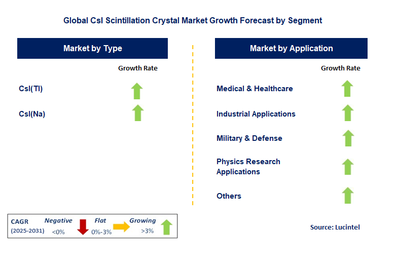 CsI Scintillation Crystal Market by Segment