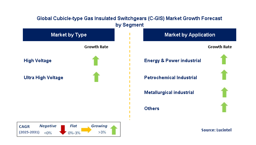 Cubicle-type Gas Insulated Switchgears (C-GIS) Market by Segment