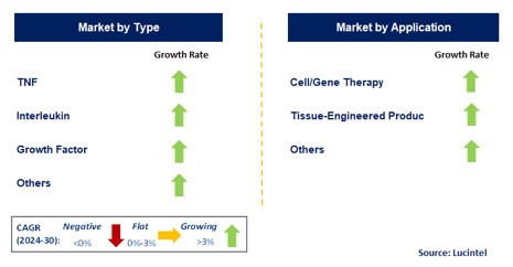 Culture Media Cytokine by Segment