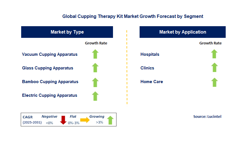 Cupping Therapy Kit Market by Segment